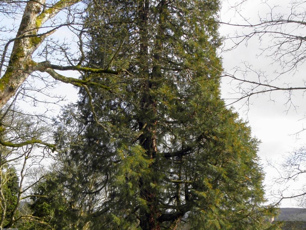 ការបង្ហាញហ្គេម: ការបង្ហាញសមត្ថភាពនៃការលេងហ្គេម