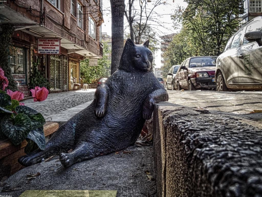 ឥទ្ធិពលនៃសហគមន៍និងព័ត៌មាន