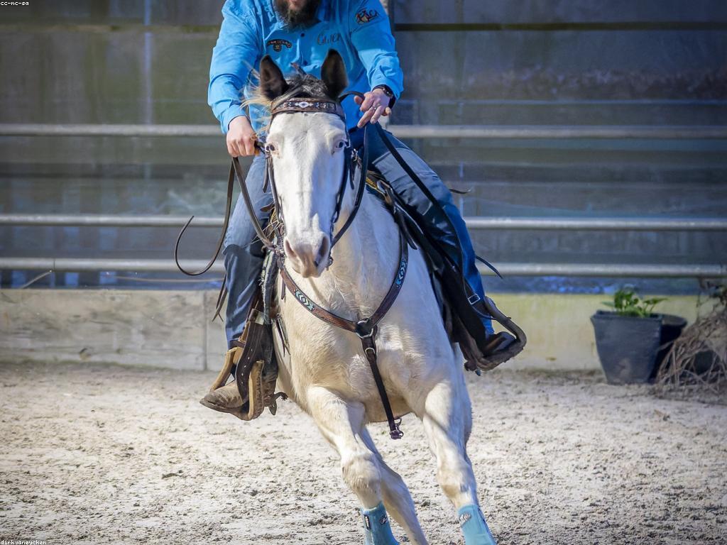 ព័ត៌មានថ្មីៗអំពីការប្រកួតជាន់ខ្ពស់