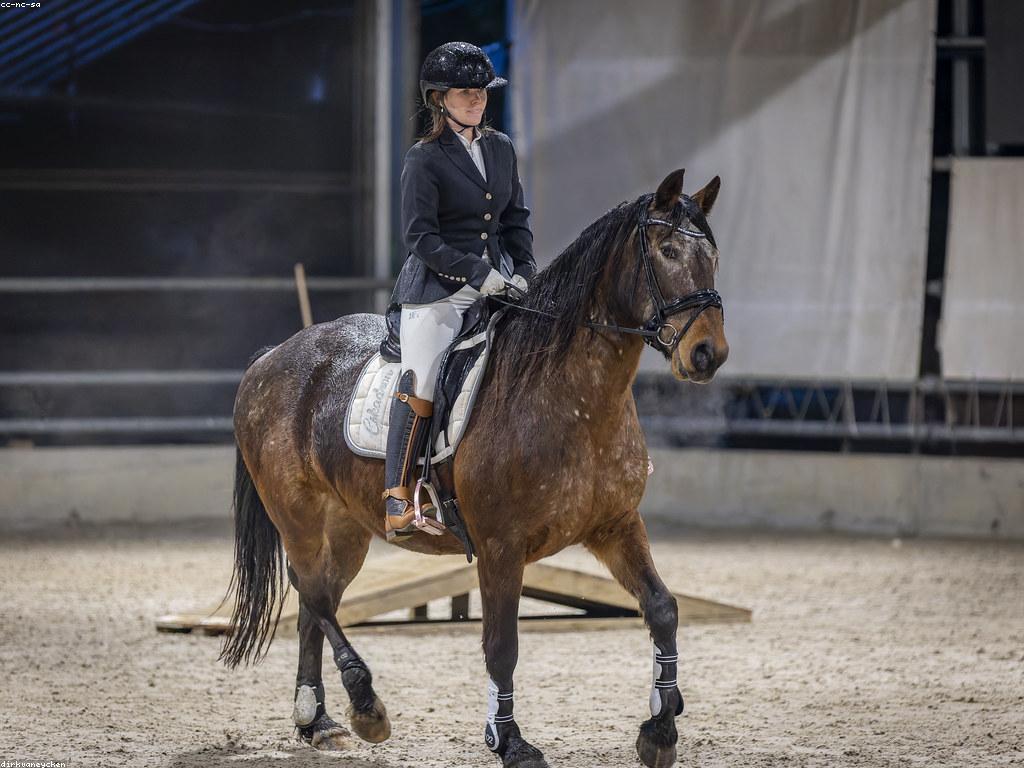 ព័ត៌មានអំពីការប្រកួត